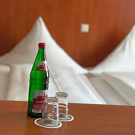 Royal Hotell 3*